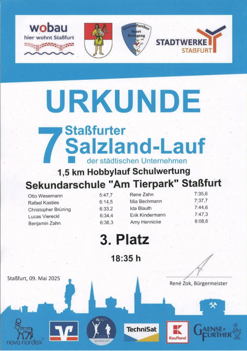 urkunde_salzlandlauf_2025.jpg